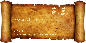 Pozsgai Erik névjegykártya